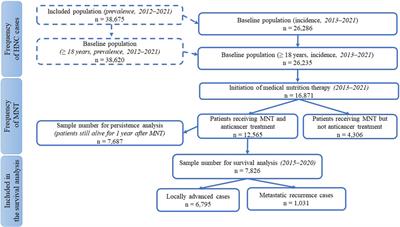 Positive correlation between persistence of medical nutrition therapy and overall survival in patients with head and neck cancer